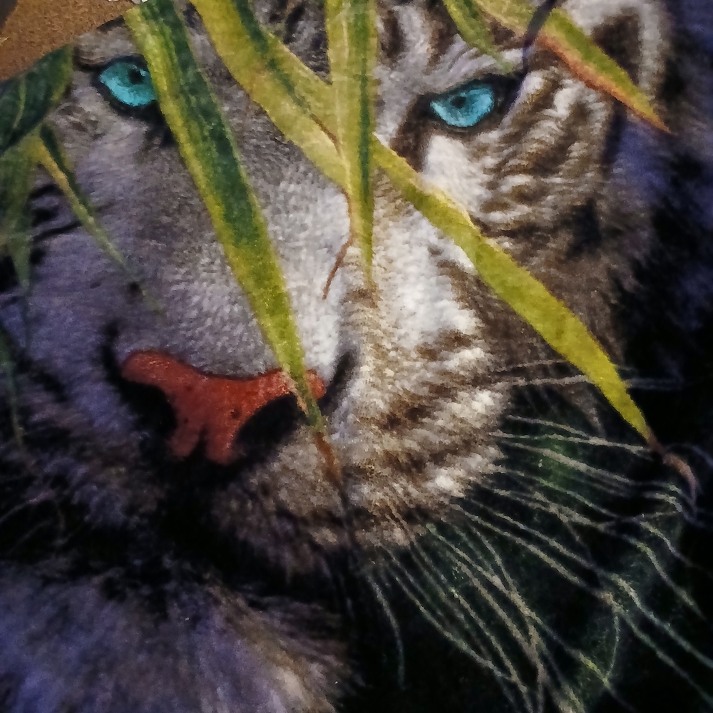 Wild Cat/Tiger Print American Heritage Wilderness Blanket